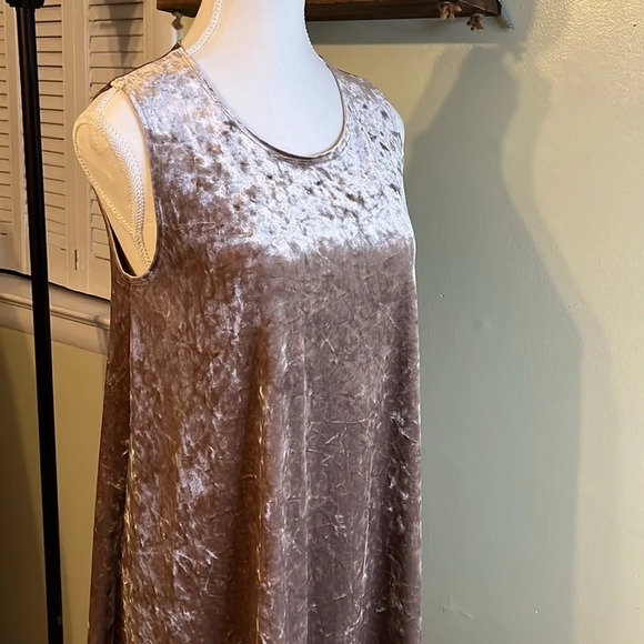 Molly Green Lindsay mushroom velour sleeveless swing mini dress - Picture 13 of 13